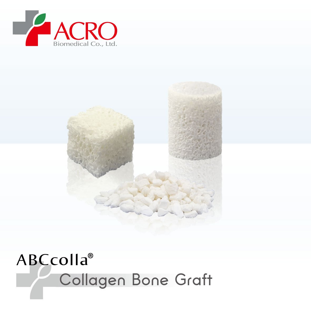 Bone Graft