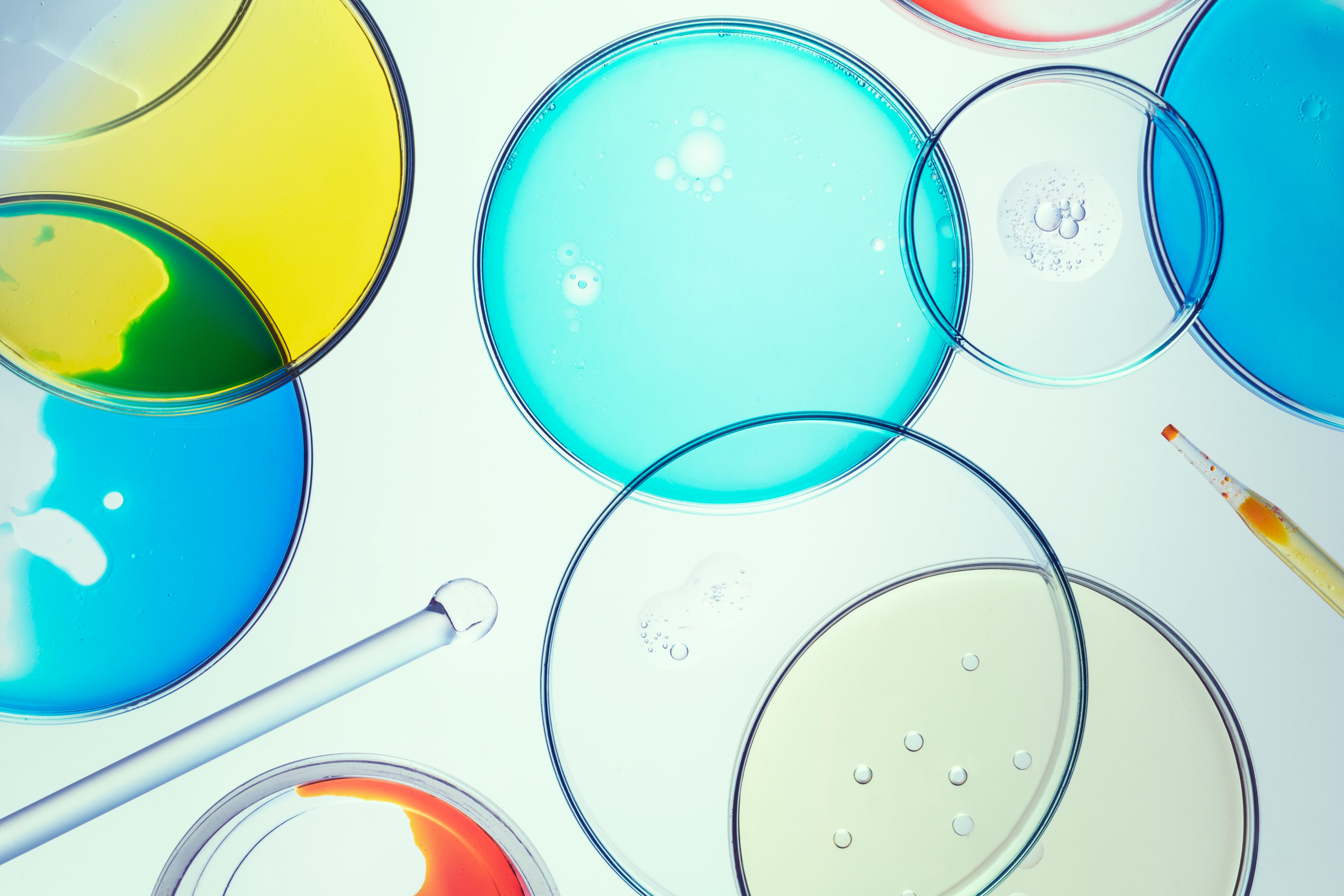 science-background-wallpaper-petri-dishes-flat-lay